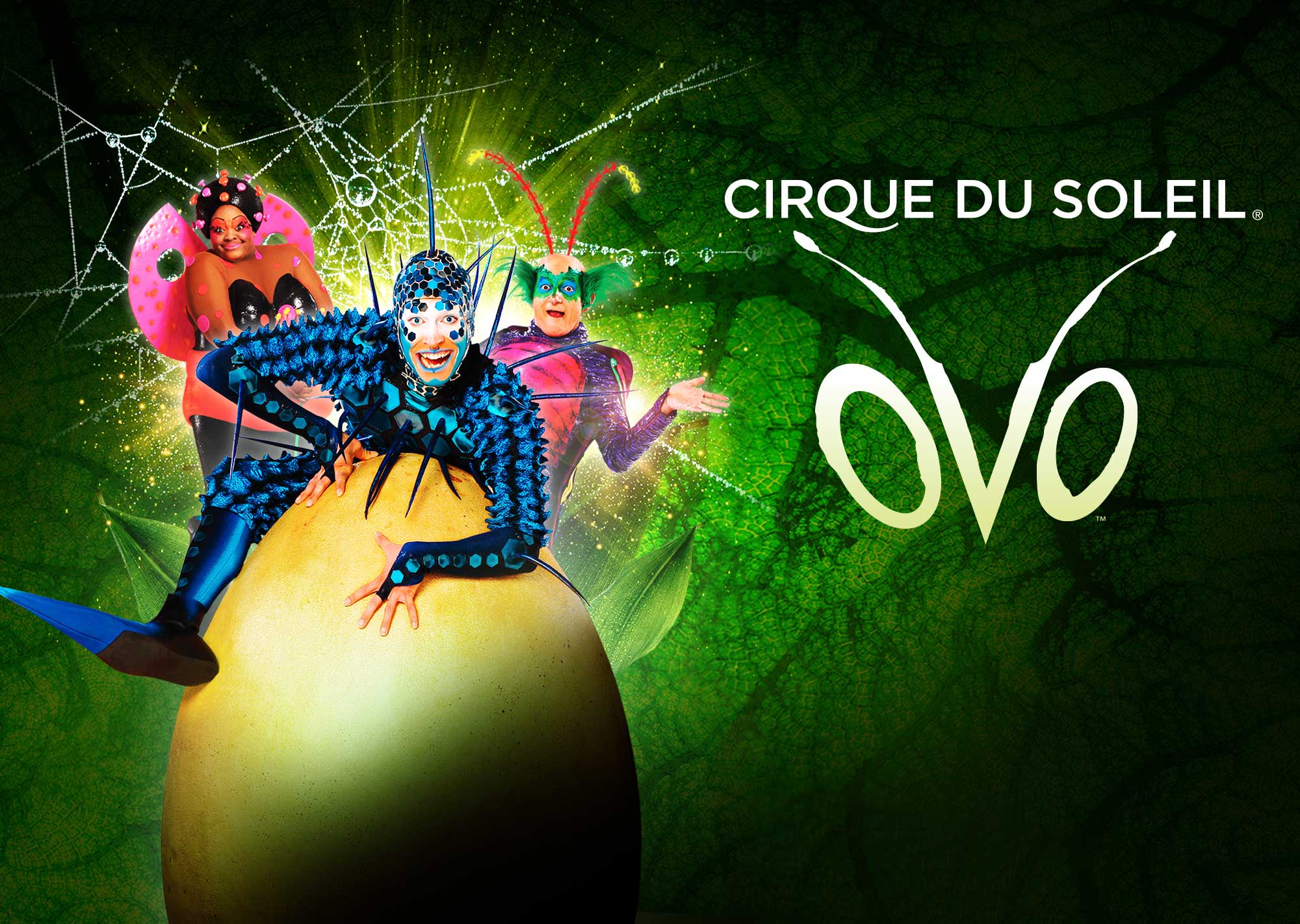 OVO – a buzzing Cirque du Soleil spectacular – is coming to Cedar Park